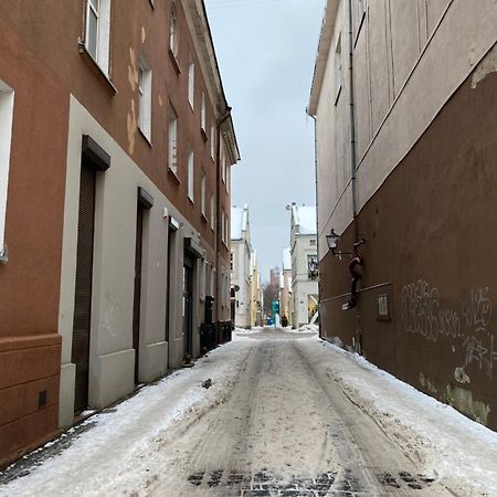 Studio Apartment Old Town 克莱佩达 外观 照片