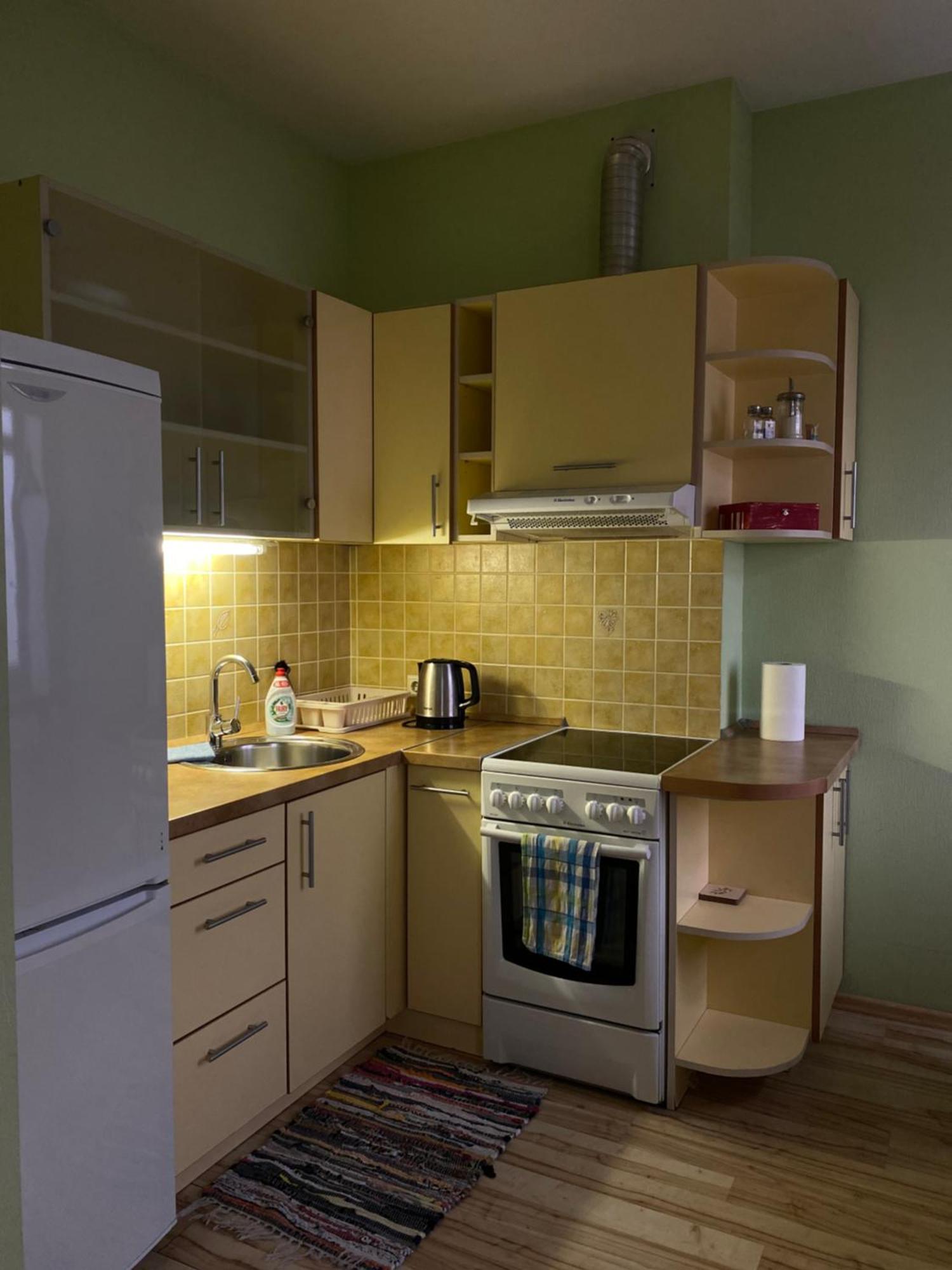 Studio Apartment Old Town 克莱佩达 外观 照片